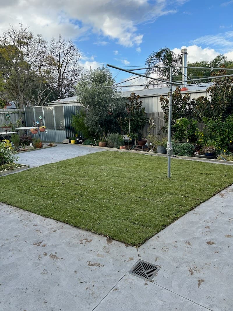 COMPLETE Garden Solutions gardening work in Hastings