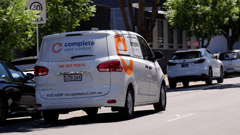 Complete Pest Control pest control work in Kent Town
