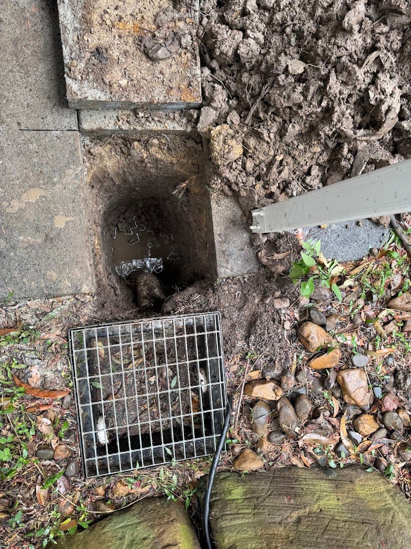 Complete Plumbing Qld plumber work in Bundall