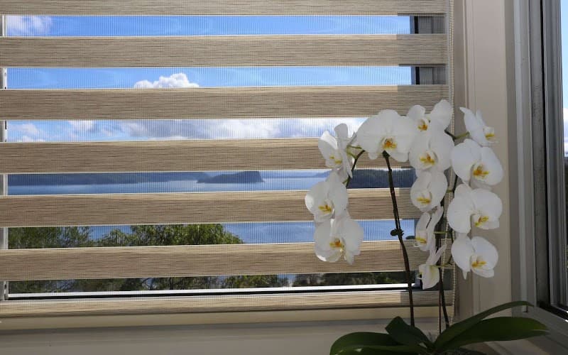 Complete Shutters Australia - Plantation Shutters, Curtains, Ziptrak Roller & Blockout Blinds in Adelaide curtains & blinds work in Wayville
