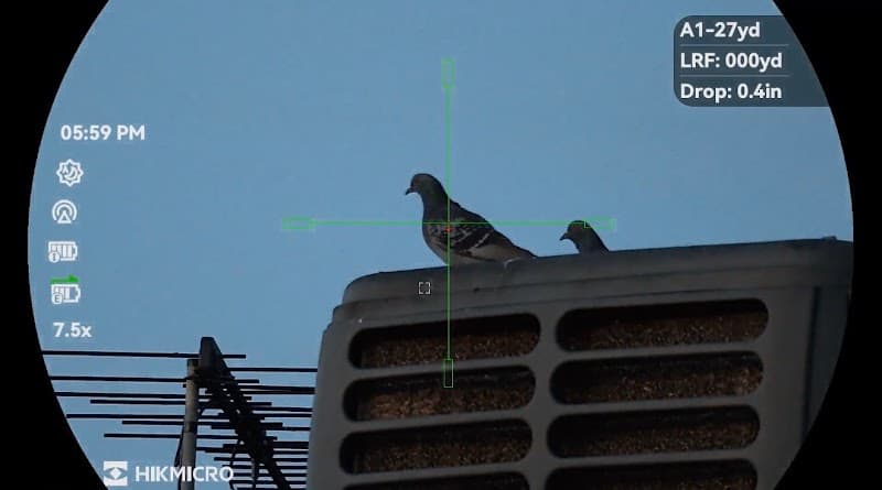 Contract Shooter South Adelaide animal & bird control work in null