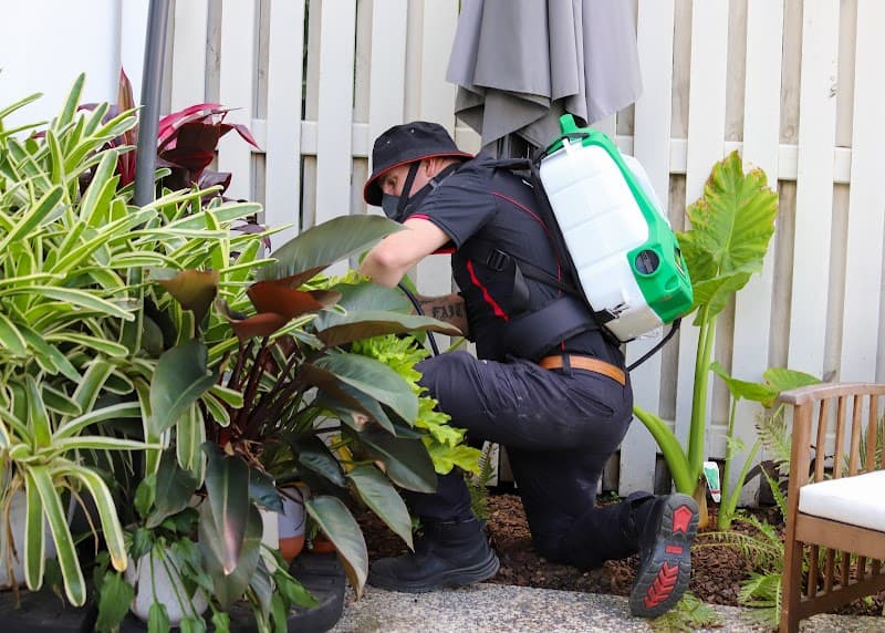 Control Pest Management Brisbane pest control work in Fortitude Valley