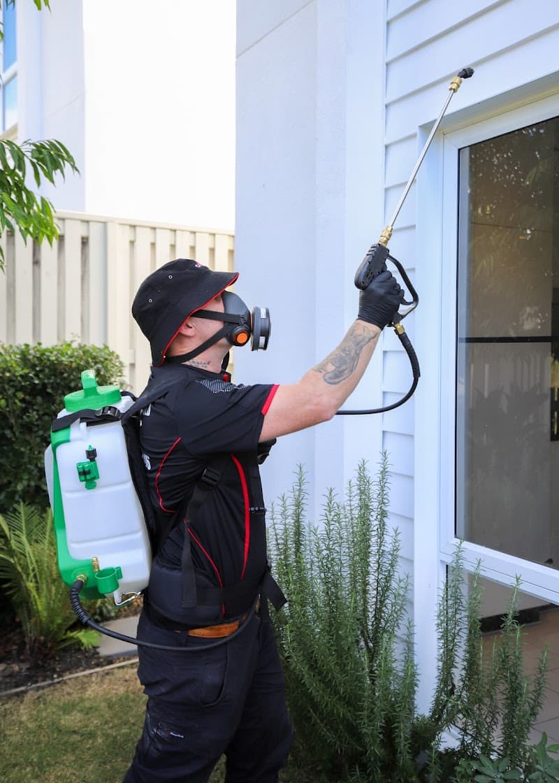 Control Pest Management Brisbane pest control work in Fortitude Valley