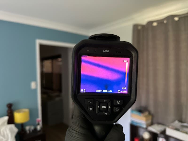 Control Pest Management Brisbane pest control work in Fortitude Valley