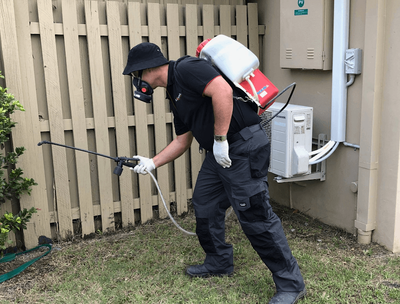Control Pest Management Gold Coast pest control work in Nerang
