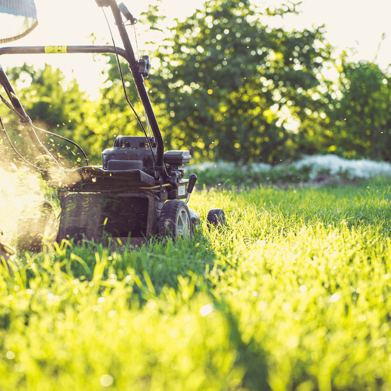 Cooks Hill Lawn & Garden Maintenance gardening work in Cooks Hill