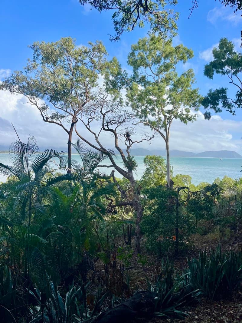 Coral Coast Tree Care tree services work in Redlynch