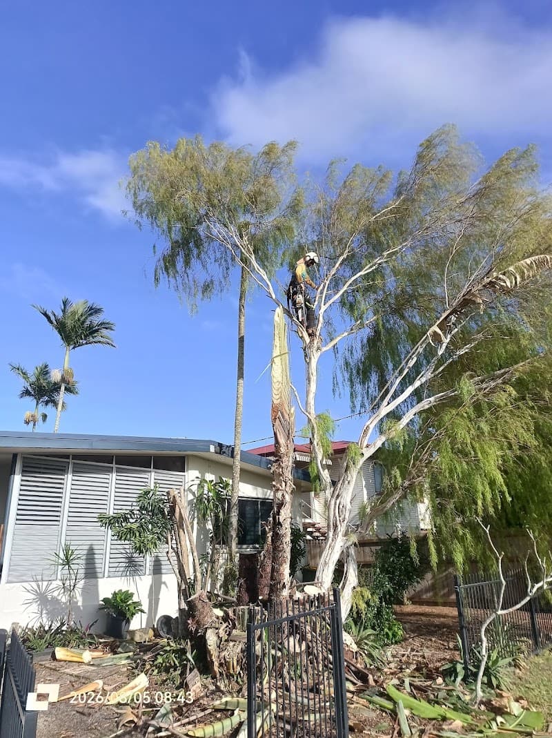 Coral Coast Tree Care tree services work in Redlynch