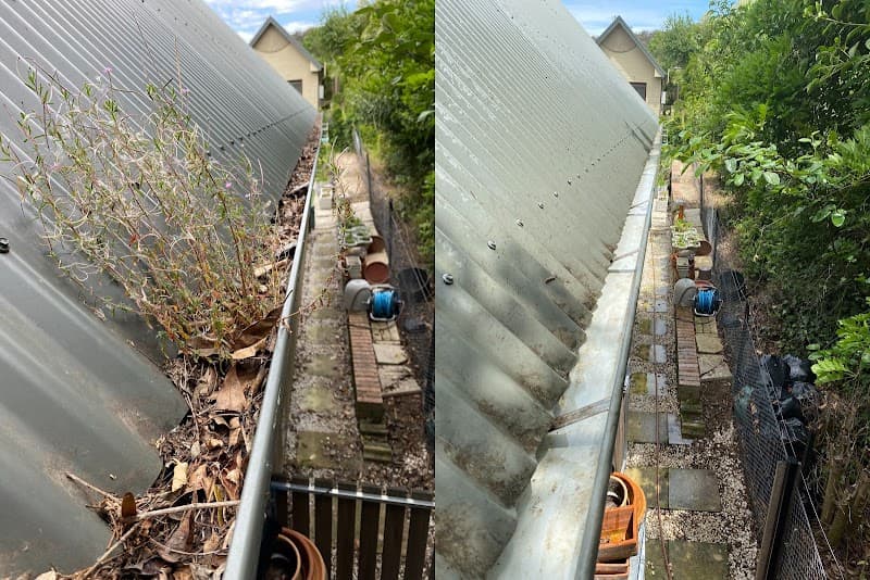 Cornelius Window, Gutter and Pressure Cleaning gutter cleaning work in St Marys