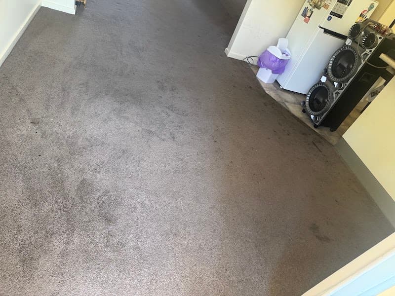 Corowa Cleaning Service carpet cleaning work in Corowa