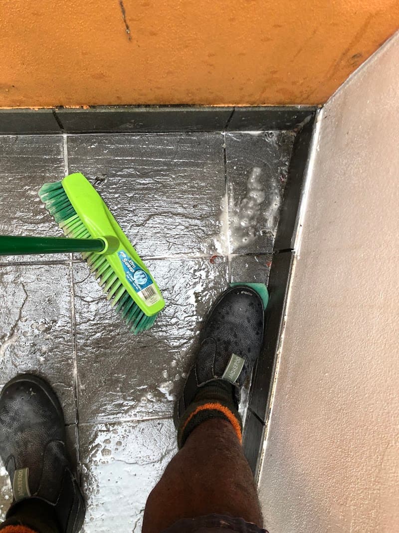 Correct Impression Cleaners carpet cleaning work in Westmead