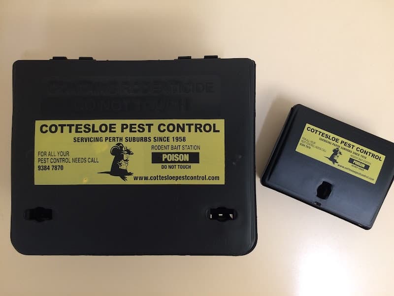 Cottesloe Pest Control- The REAL one @ 93847870 pest control work in Nedlands