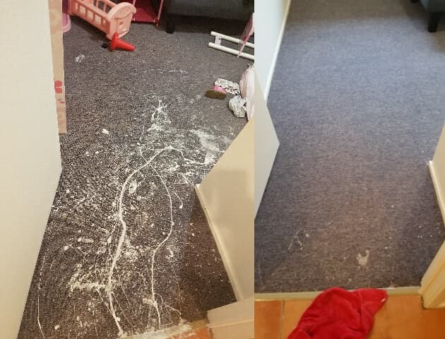 Country Care Carpet Cleaning carpet cleaning work in Bundaberg East