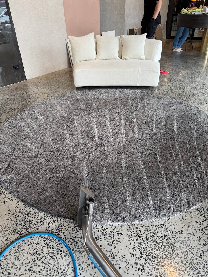CPH Services Gold Coast Carpet Cleaning & Pest Control carpet cleaning work in Burleigh Heads