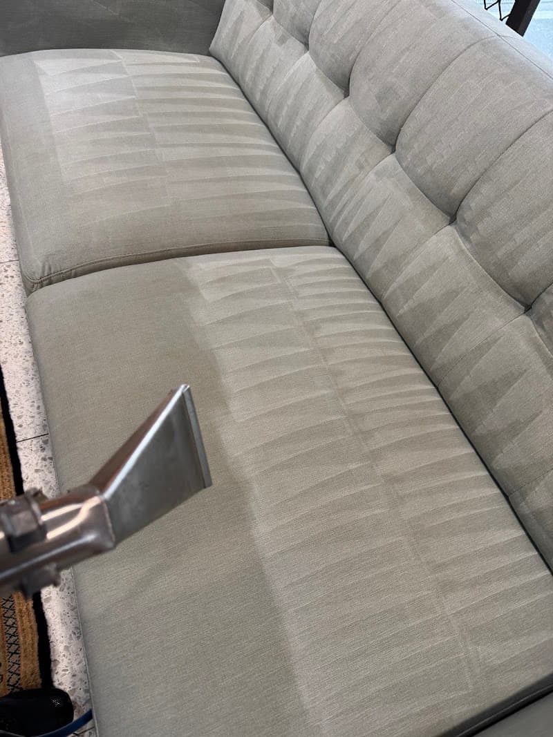 CPH Services Gold Coast Carpet Cleaning & Pest Control carpet cleaning work in Burleigh Heads