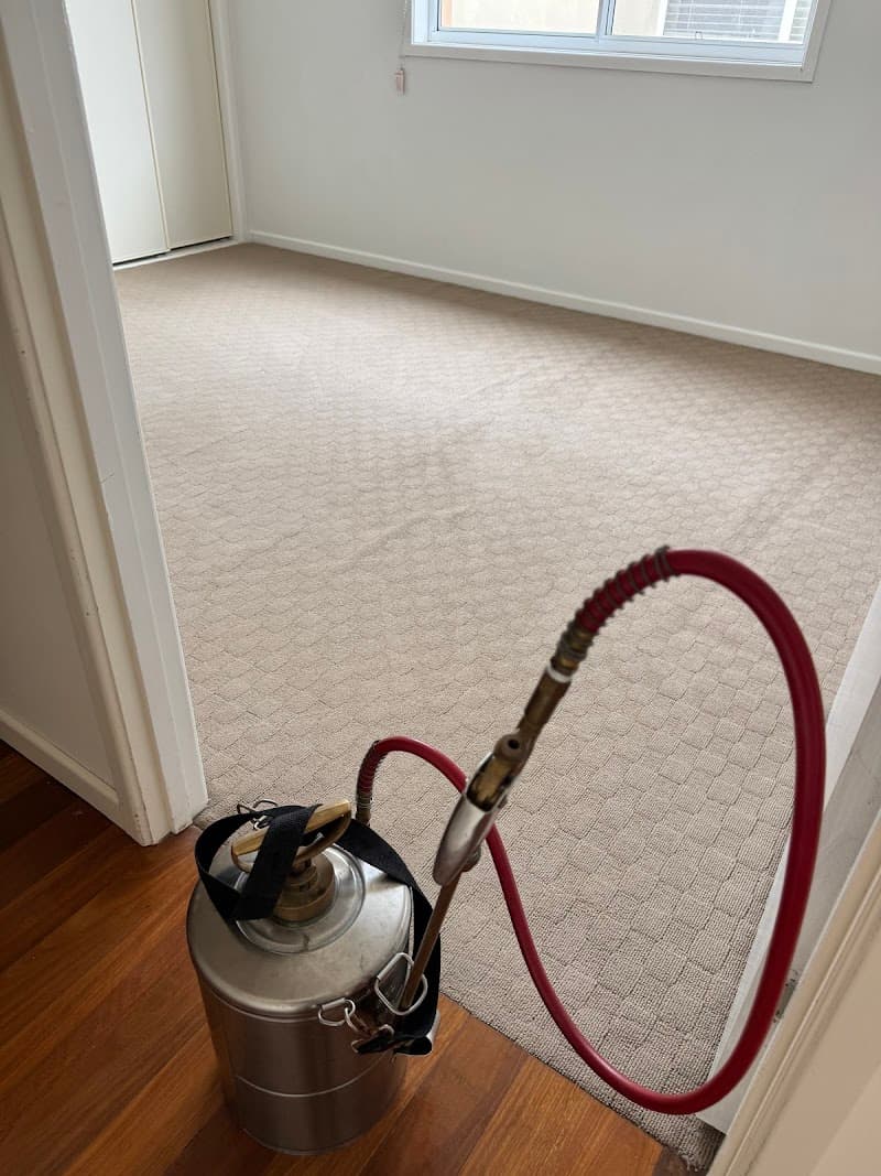 CPH Services Gold Coast Carpet Cleaning & Pest Control carpet cleaning work in Burleigh Heads