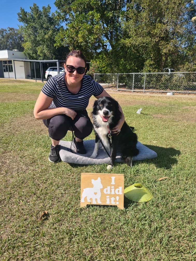 Craig A. Murray Dog Training dog training work in Loganlea