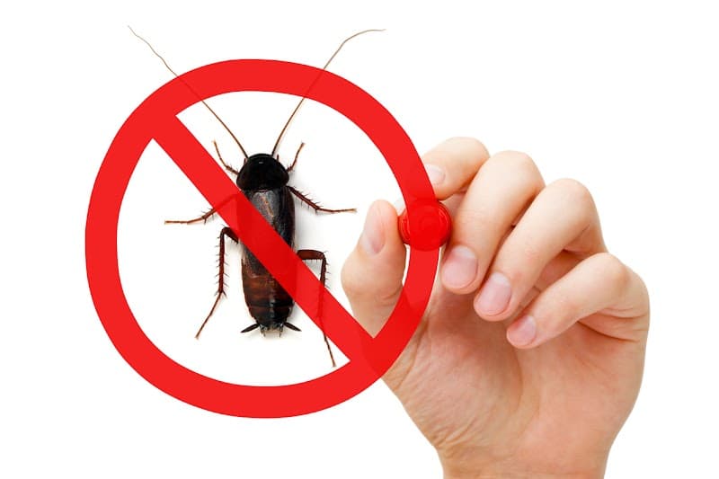 Creepy Crawly Pest Control Rockhampton pest control work in Berserker