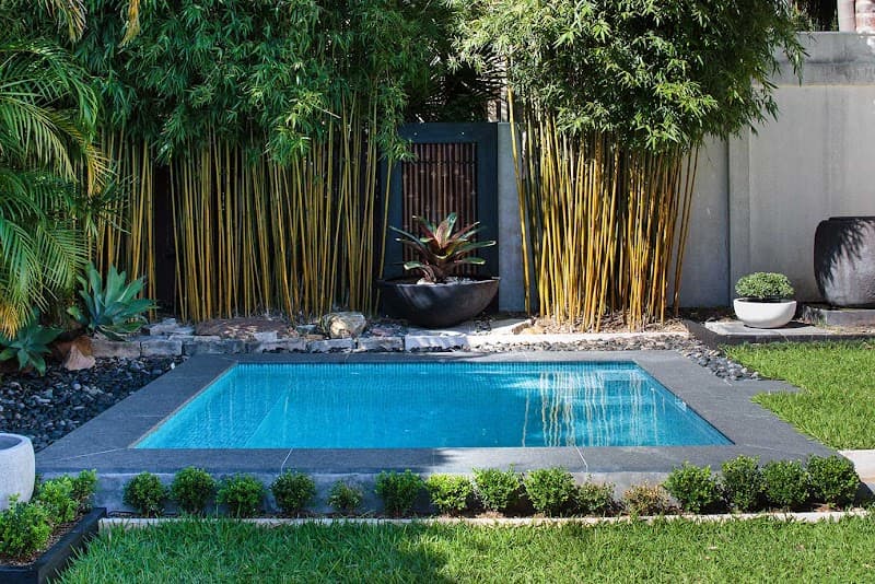 Crystal Pools pool builder work in Thornleigh
