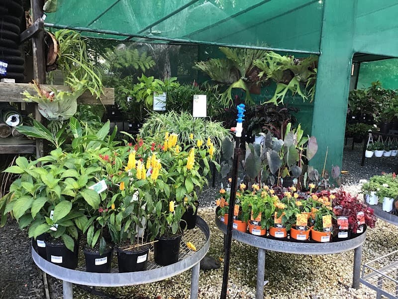 CSG Landscape Supplies & Garden Centre landscaping work in Capalaba