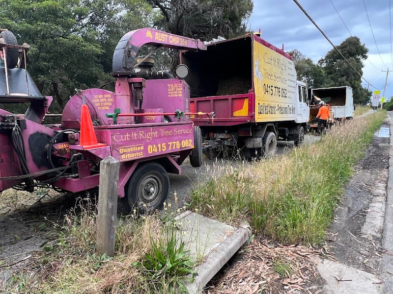 Cut It Right Tree Service Frankston tree services work in Frankston