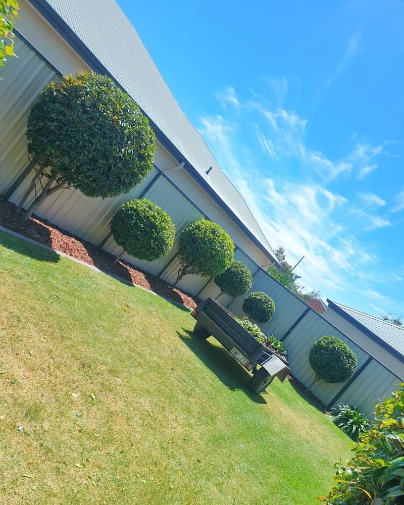 Cut N Polish - lawn & property services lawn care work in Port Adelaide