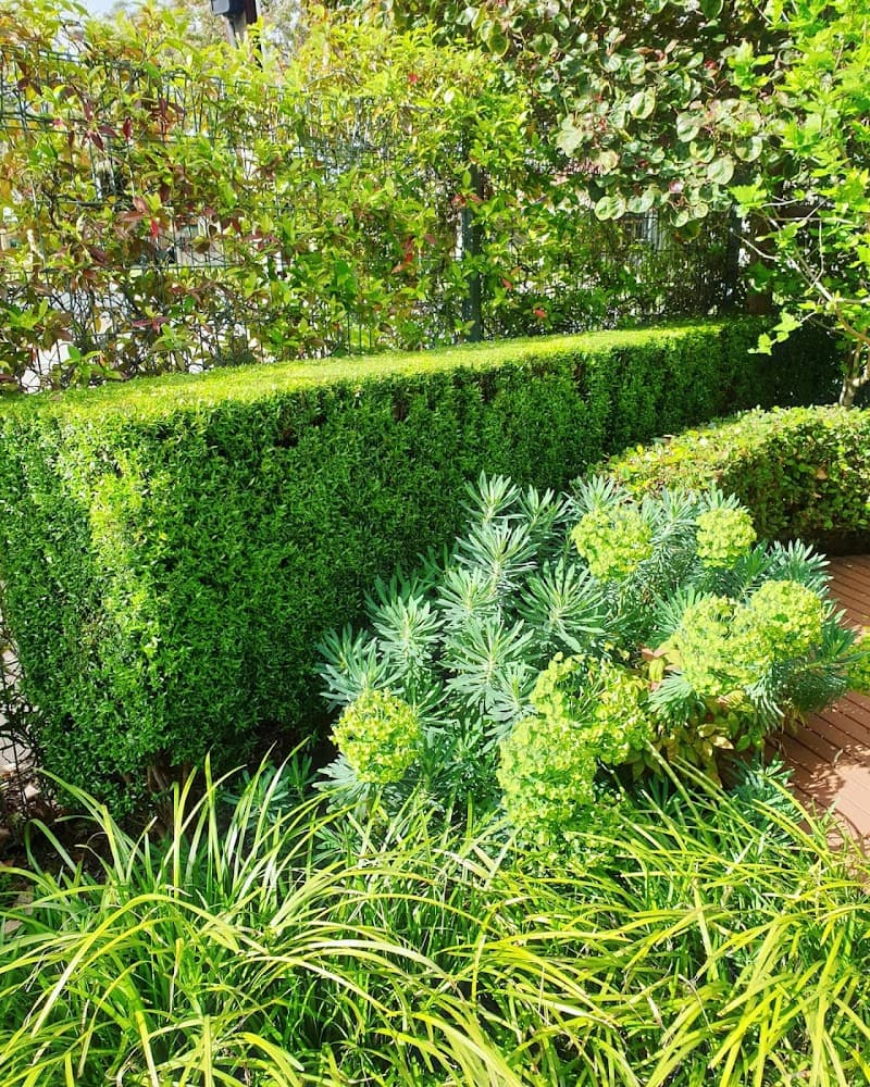 Cut N Polish - lawn & property services lawn care work in Port Adelaide