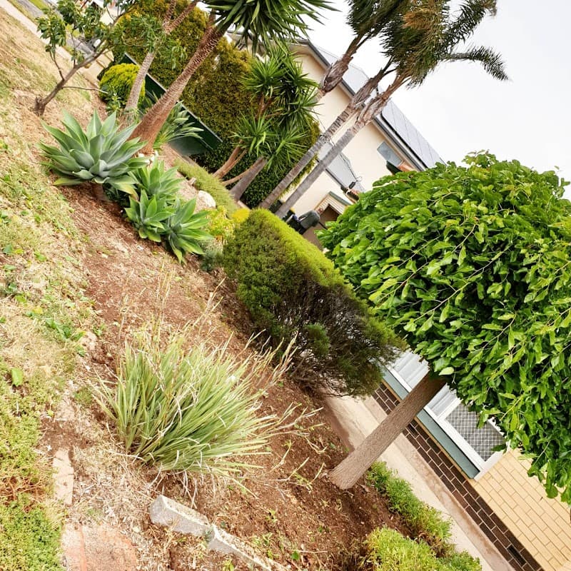 Cut N Polish - lawn & property services lawn care work in Port Adelaide