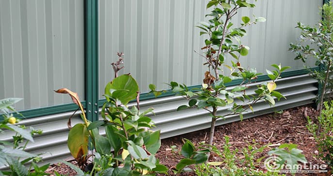 Cut Price Fencing fencing work in Carrara