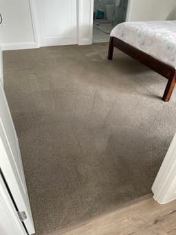 Cute Carpet Cleaning And Pest Control