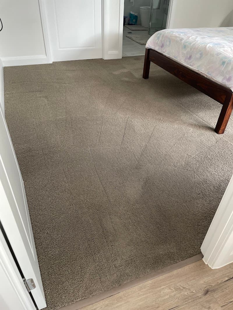Cute Carpet Cleaning And Pest Control carpet cleaning work in Yarrabilba