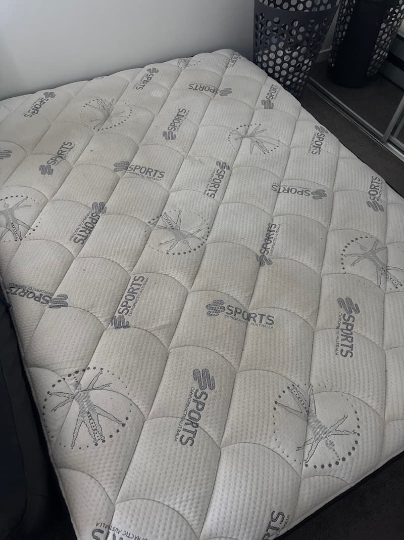 Cute Carpet Cleaning And Pest Control carpet cleaning work in Yarrabilba