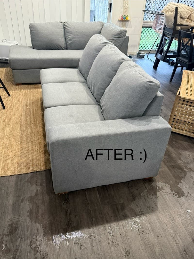Cute Carpet Cleaning And Pest Control carpet cleaning work in Yarrabilba