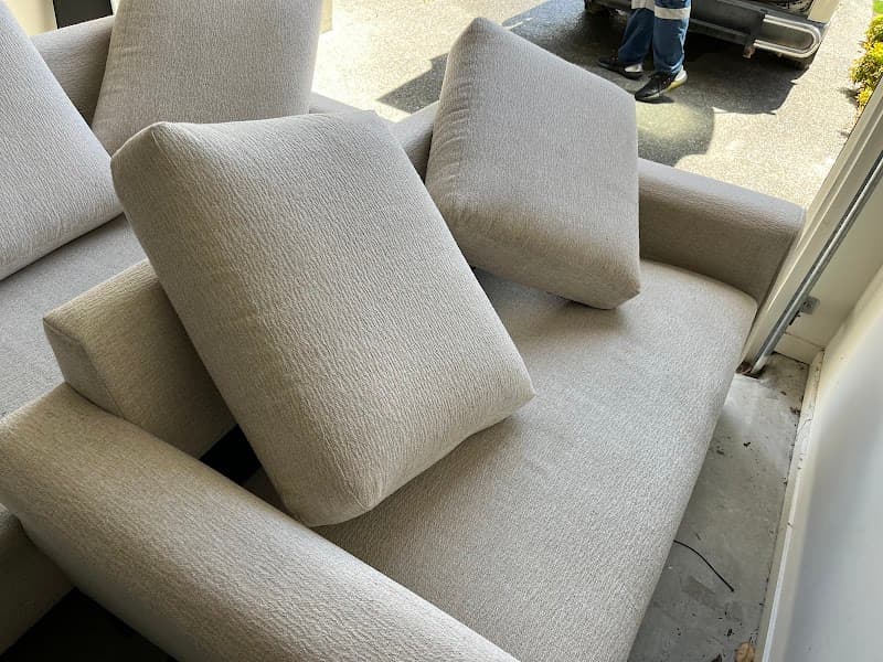 Cute Carpet Cleaning And Pest Control carpet cleaning work in Yarrabilba