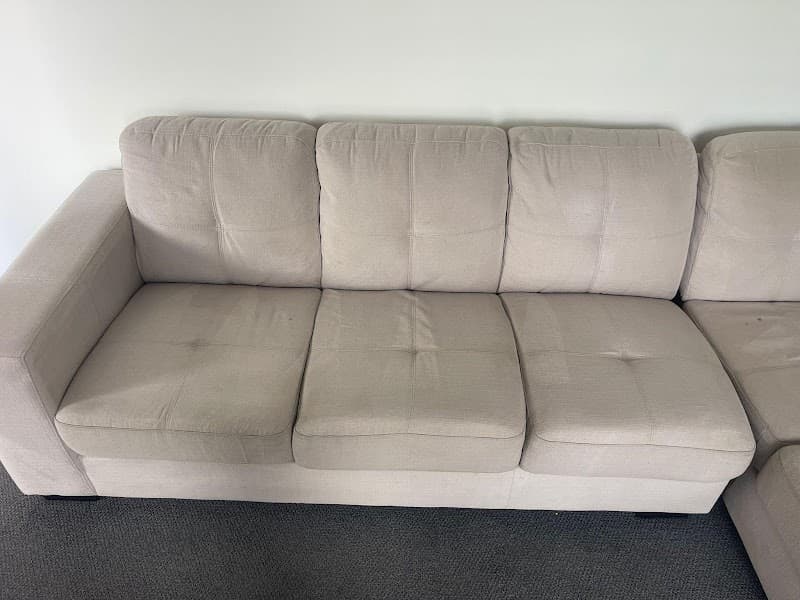 Cute Carpet Cleaning And Pest Control carpet cleaning work in Yarrabilba