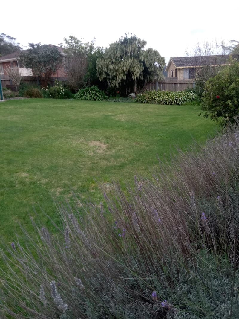 Cutting Edge Lawn Care & Maintenance ts lawn care work in West Ulverstone