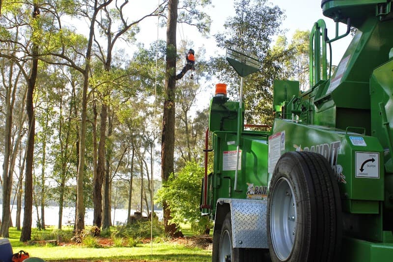 Cutting Edge Tree Maintenance tree services work in Charlestown