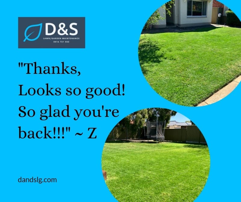 D & S Lawn/Garden Maintenance lawn care work in South Plympton