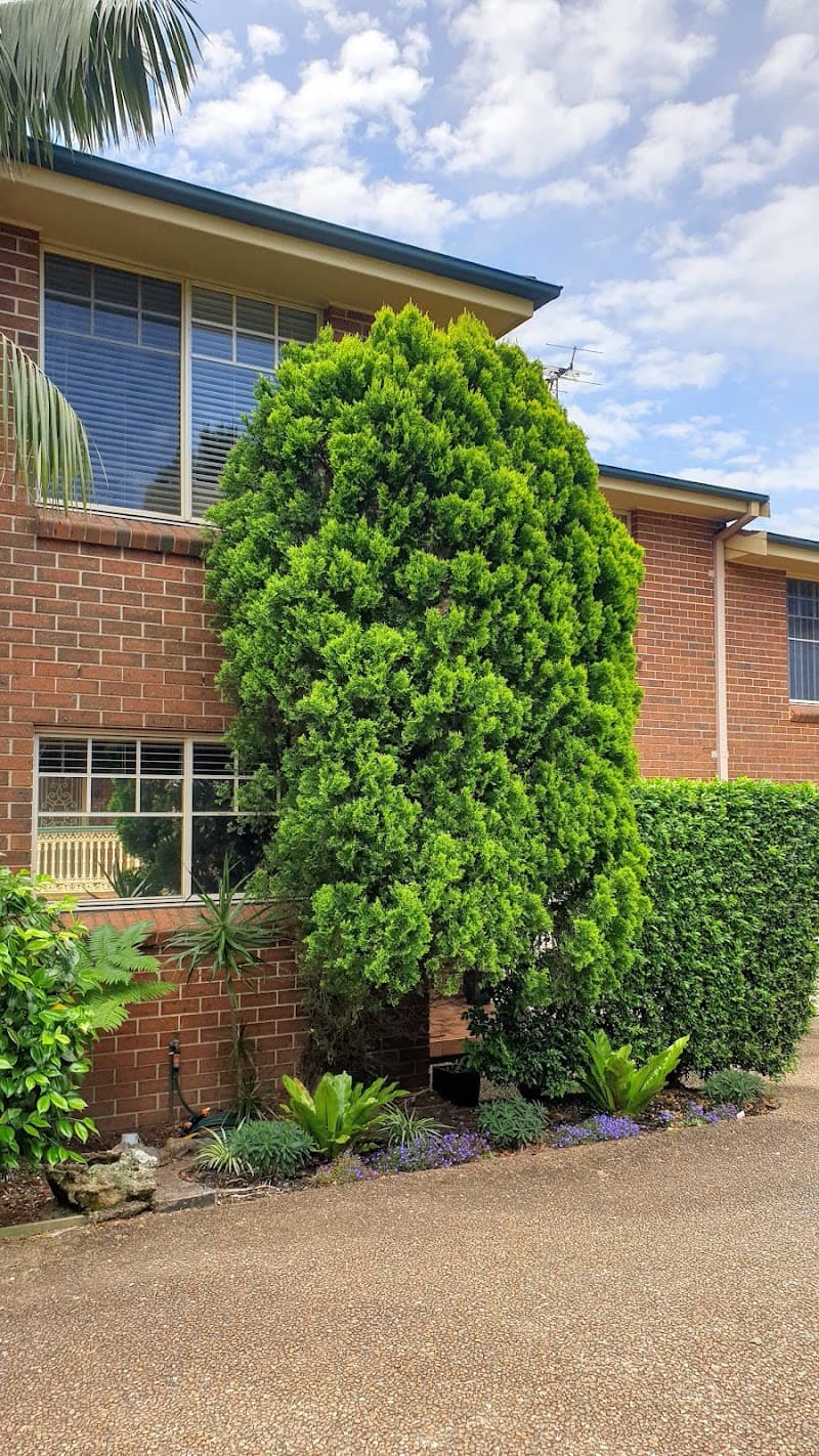 Dad and Dave's Tree Services tree services work in Kirrawee
