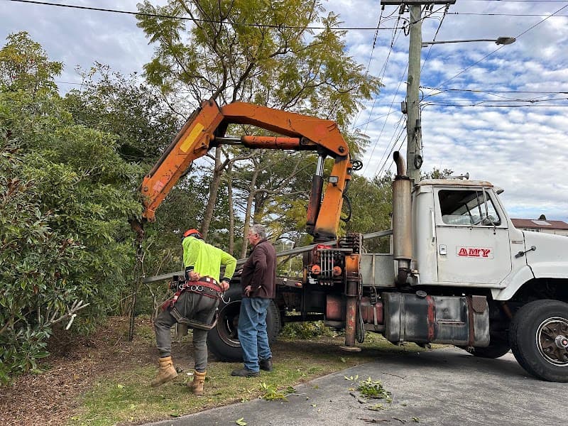 Dad and Dave's Tree Services tree services work in Kirrawee