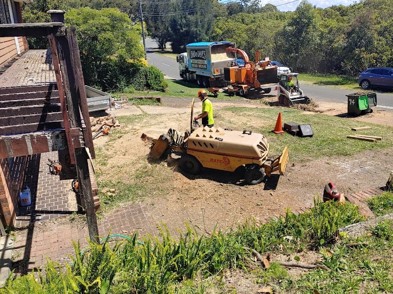 Dad and Dave's Tree Services tree services work in Kirrawee