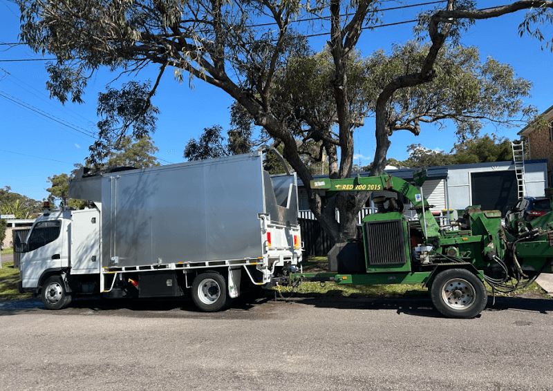 Daly Tree Contracting tree services work in Anna Bay