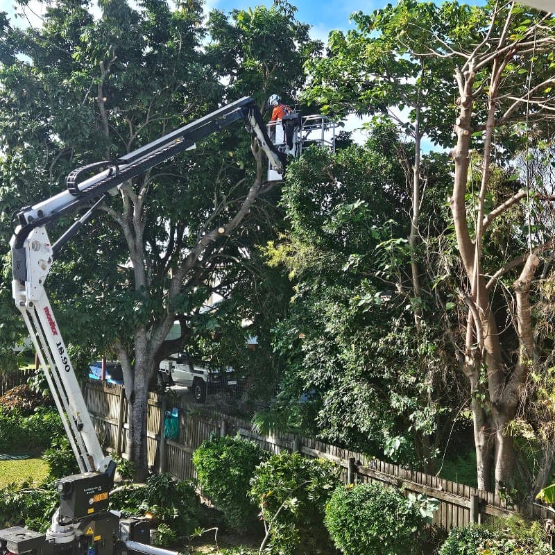 DAM Services - Diverse Asset Maintenance Services gardening work in Slade Point