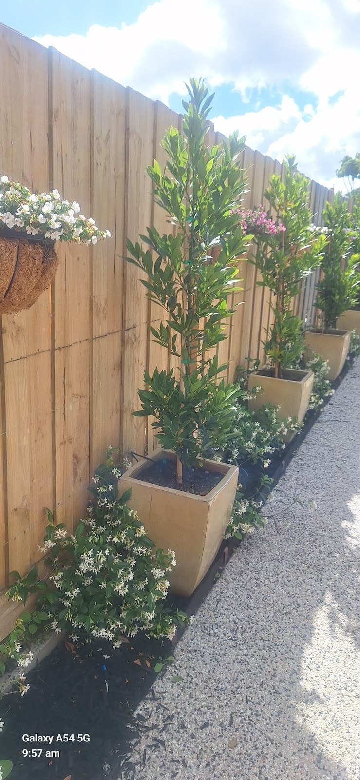 Damian's Gardening Services gardening work in Dandenong