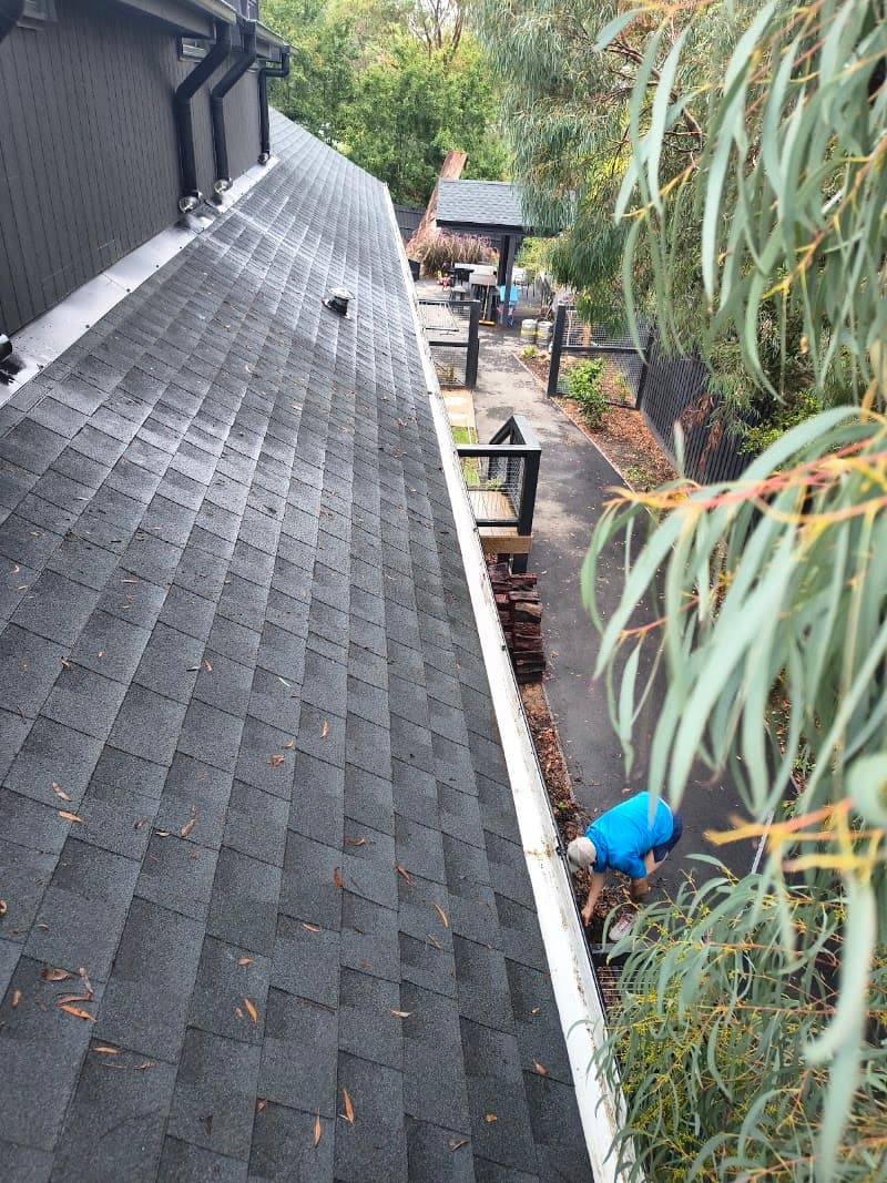 Danny's Dirty Deeds gutter cleaning work in null