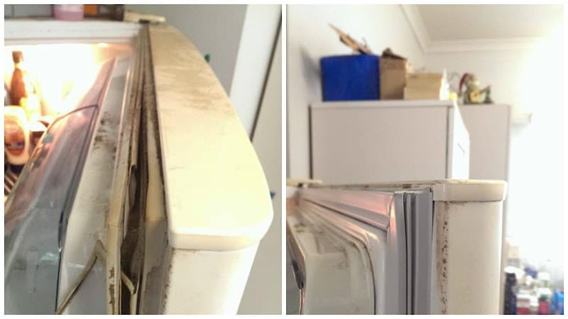 Darwin Mobile Fridge Seals appliance repair work in Fannie Bay