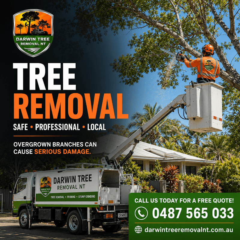 Darwin Tree Removal NT tree services work in Coconut Grove