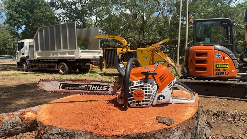 Darwin Tree Services - Arborists and Tree Removal tree services work in Virginia