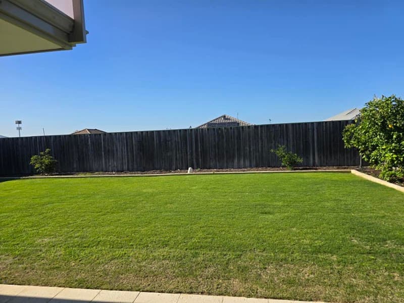 Darwin Yards landscaping work in Rosebery