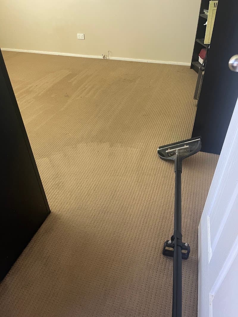 Davali ChemDry carpet cleaning work in Penrith